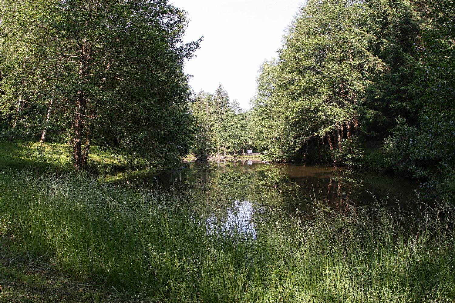 Zur Morschbach Hotel Altlay Kültér fotó